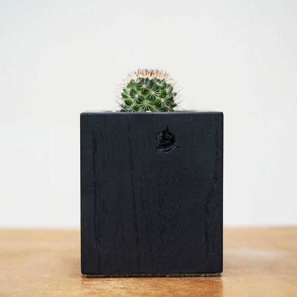 Cube (maceta) Paraíso Negro - EL MUEBLE eshop