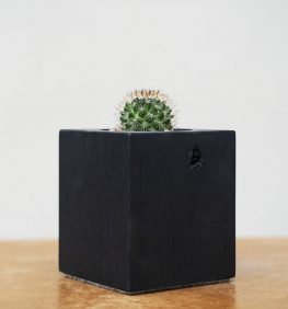 Cube (maceta) Paraíso Negro - EL MUEBLE eshop